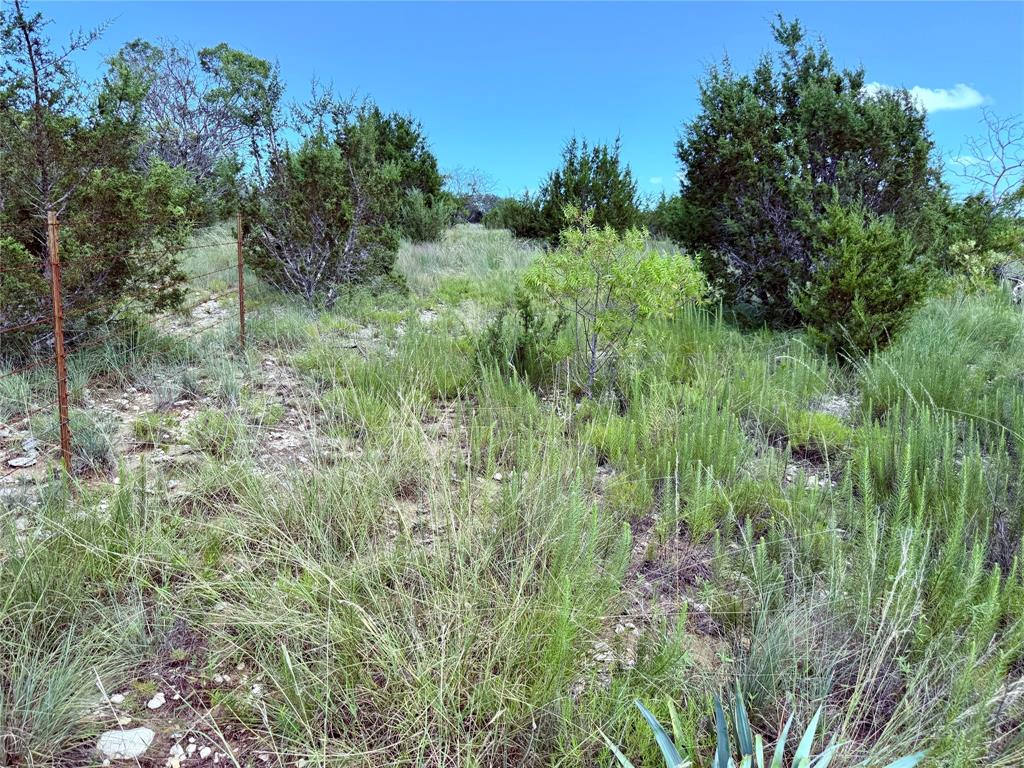 Lot 16 Private Road 3032 Road Hamilton, TX 76531 - Photo 10 of 14