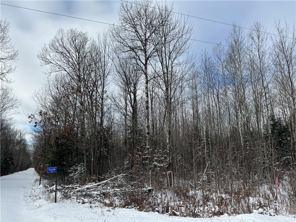 Lot 3 Uncle Toms Road Winter, WI 54896 - Photo 3 of 5