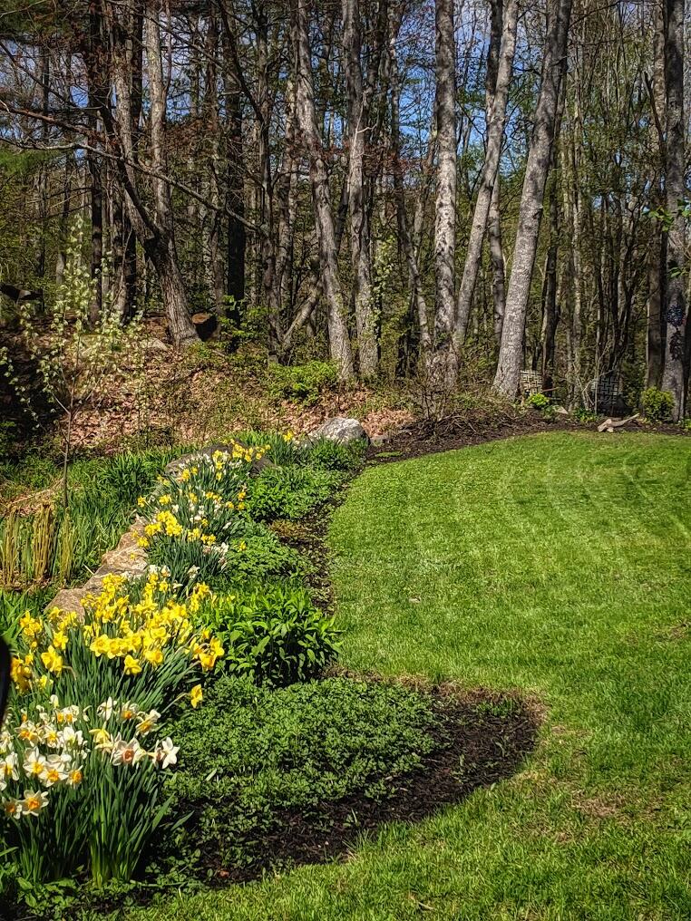 10 Lewis Way Phippsburg, ME 04562 - Photo 57 of 58 IMG_20190521_100404-01