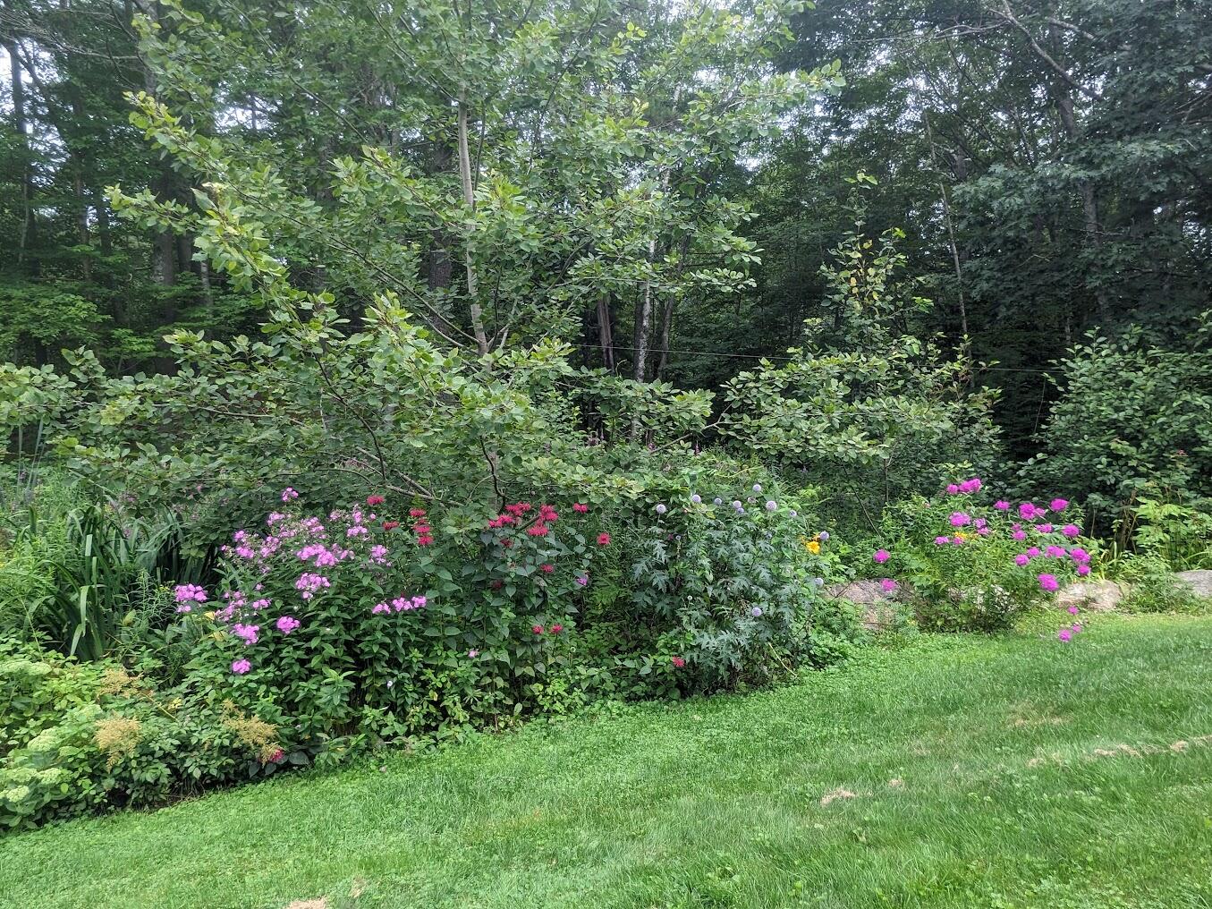 10 Lewis Way Phippsburg, ME 04562 - Photo 58 of 58 PXL_20230807_210844322