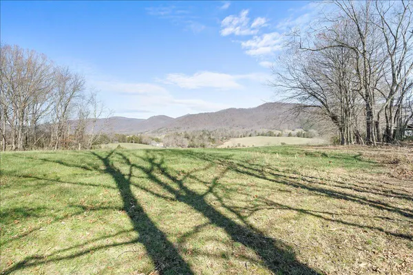 a view of a backyard of a house