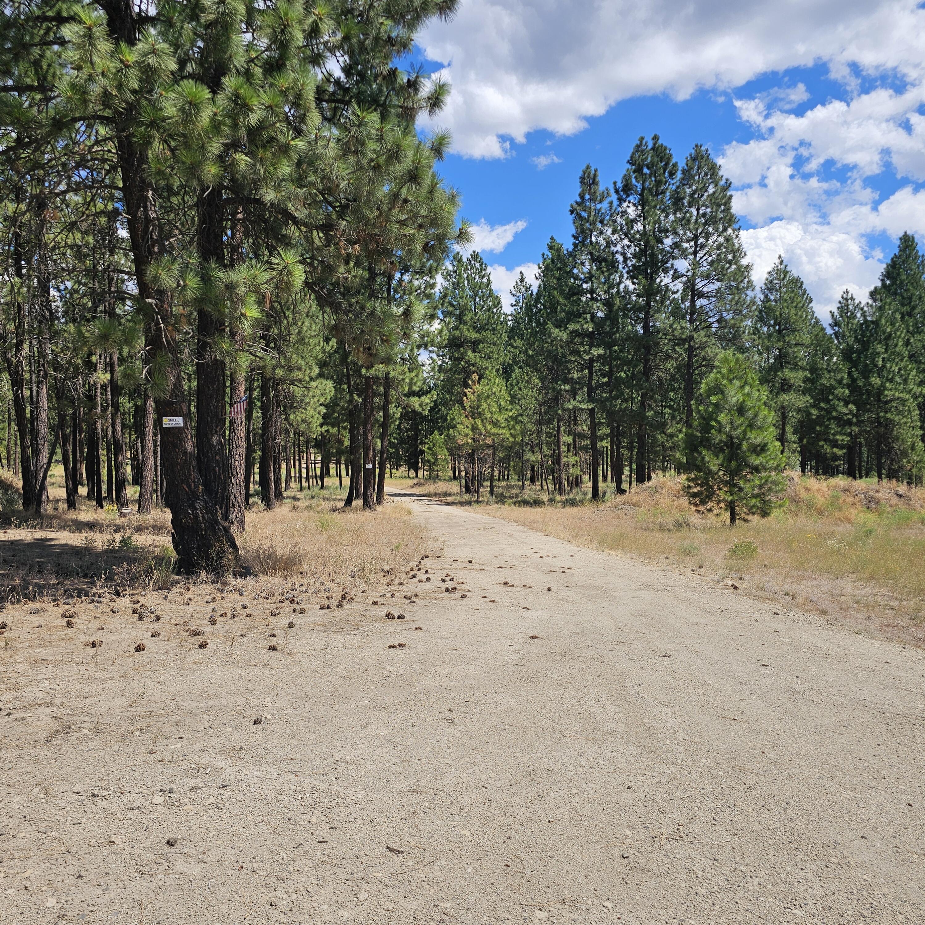 33005 Godowa Springs Road Beatty, OR 97621 - Photo 35 of 36 20250728_141121