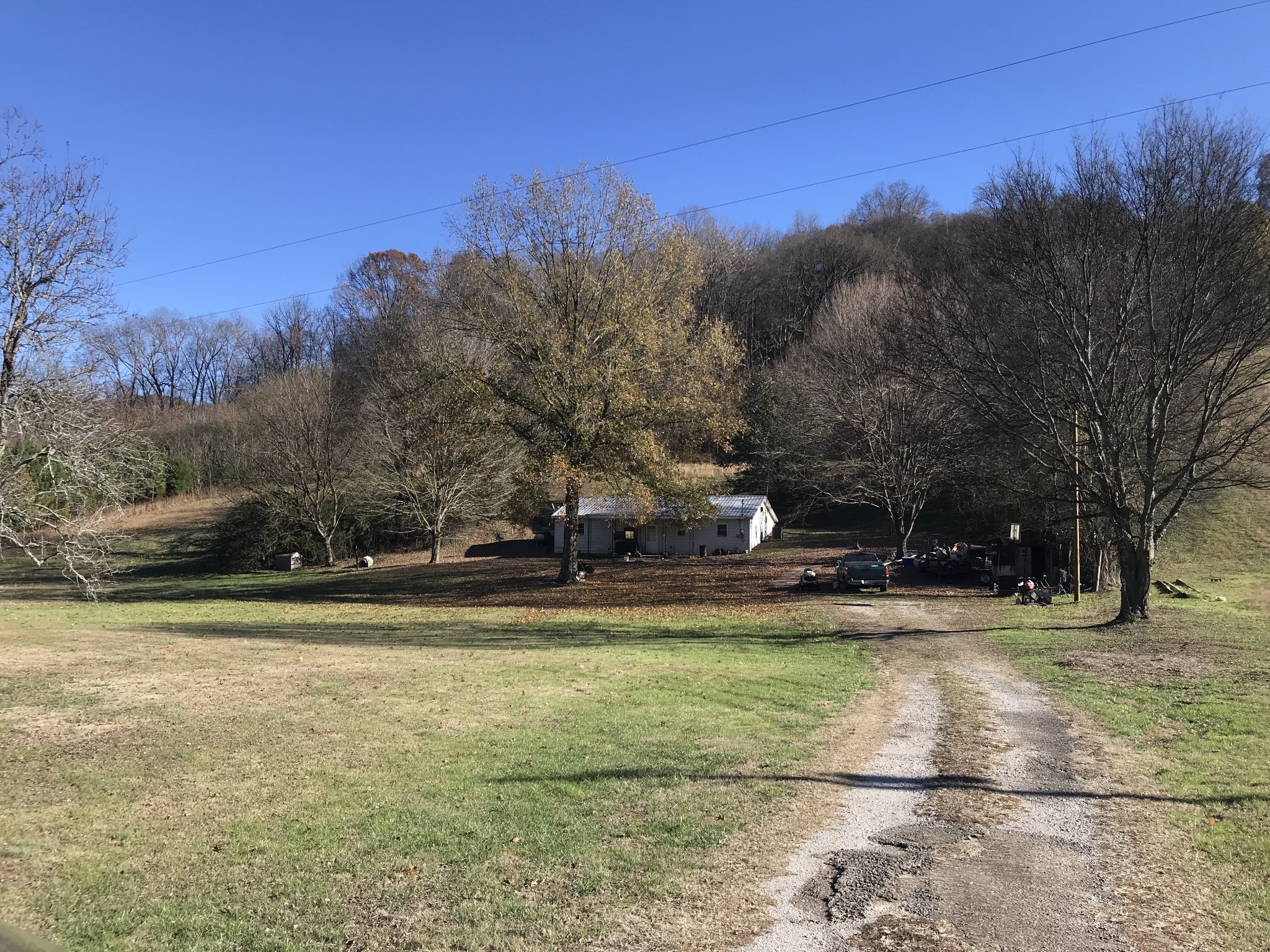 165 Ben Johnson Road Pulaski, TN 38478 - Photo 1 of 33 a view of a swimming pool and trees in the background
