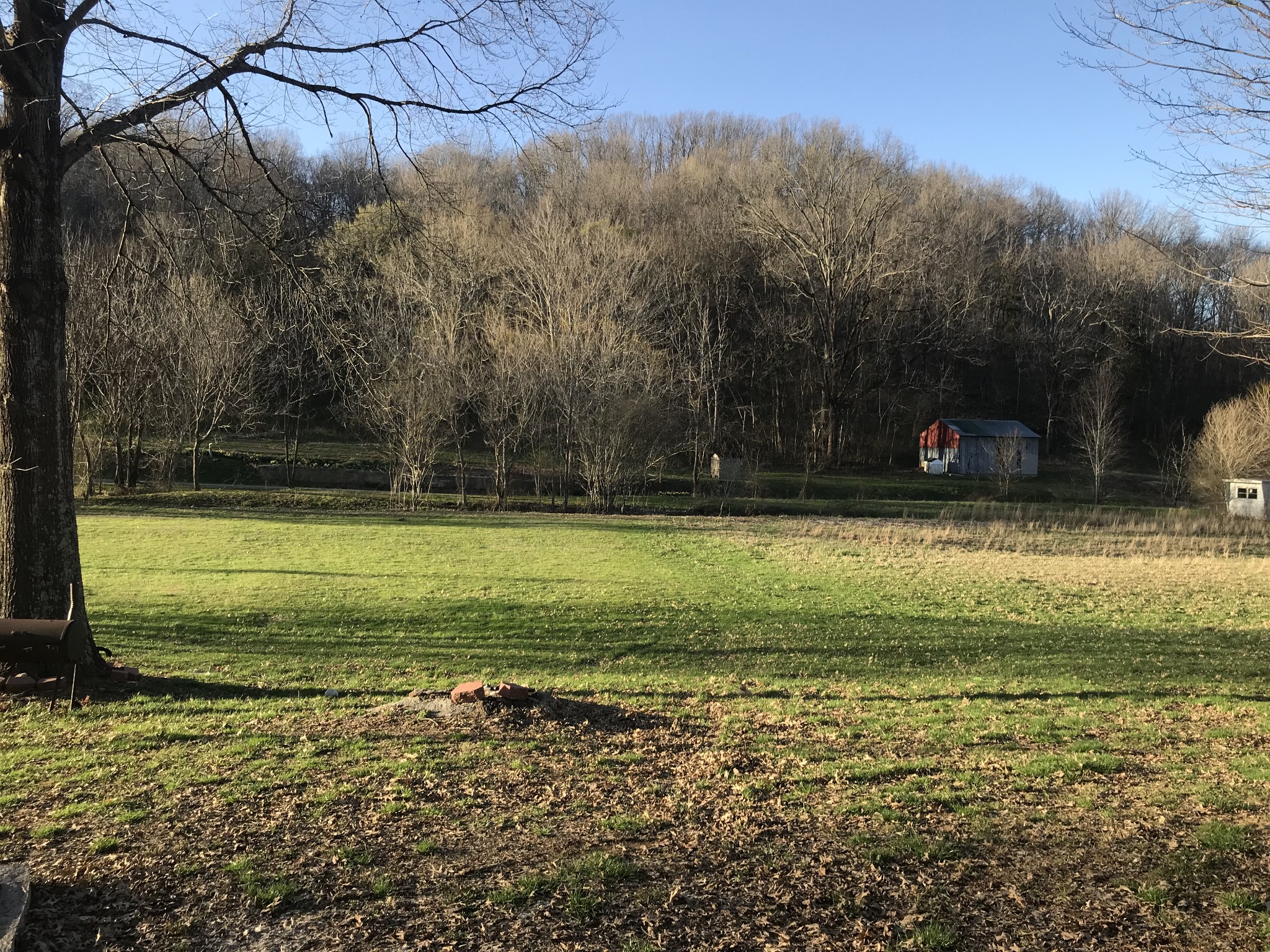 165 Ben Johnson Road Pulaski, TN 38478 - Photo 30 of 33 a view of a yard with a swimming pool