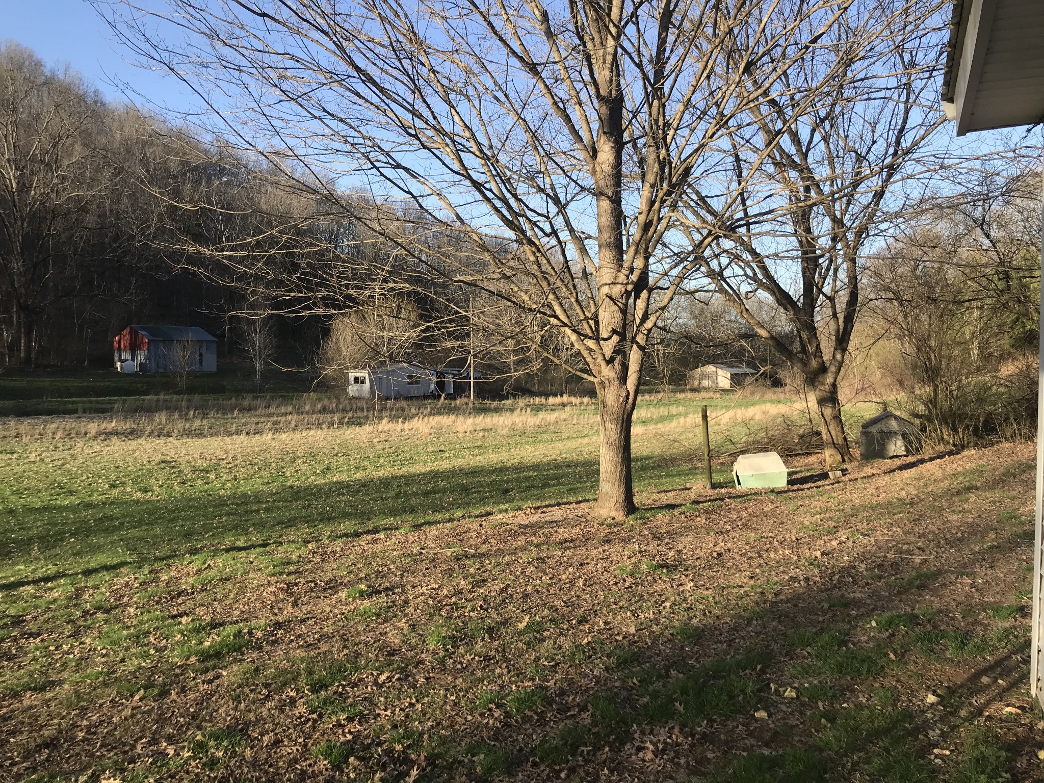 165 Ben Johnson Road Pulaski, TN 38478 - Photo 31 of 33 a view of a yard with trees