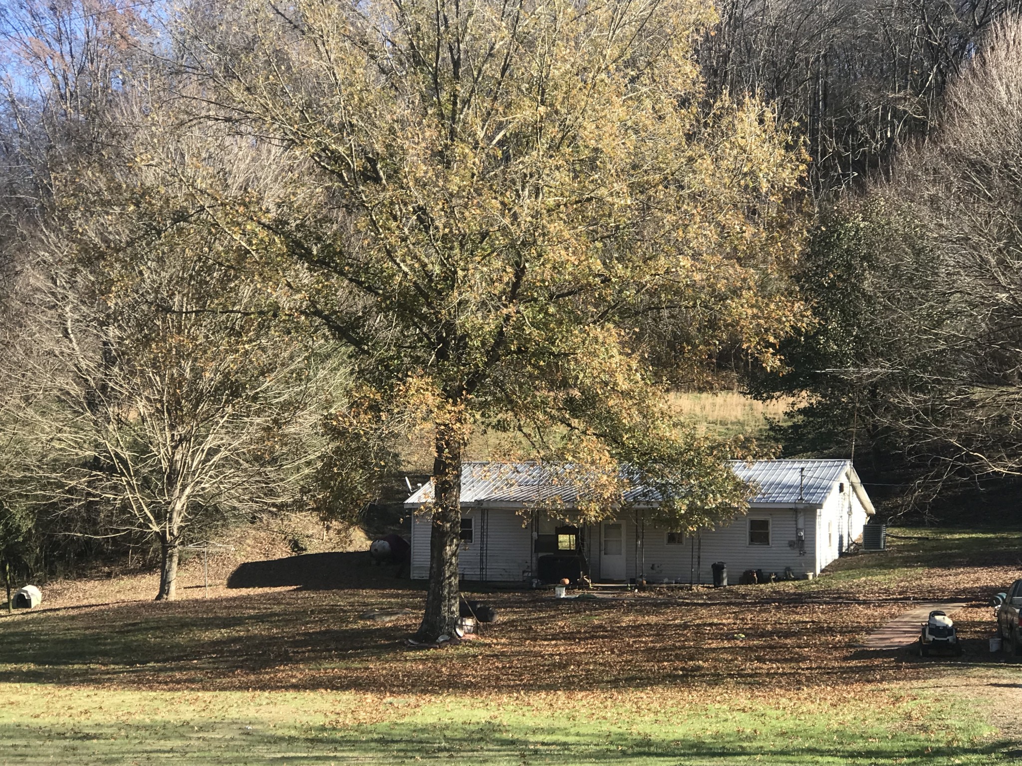 165 Ben Johnson Road Pulaski, TN 38478 - Photo 33 of 33 a view of a house with a yard