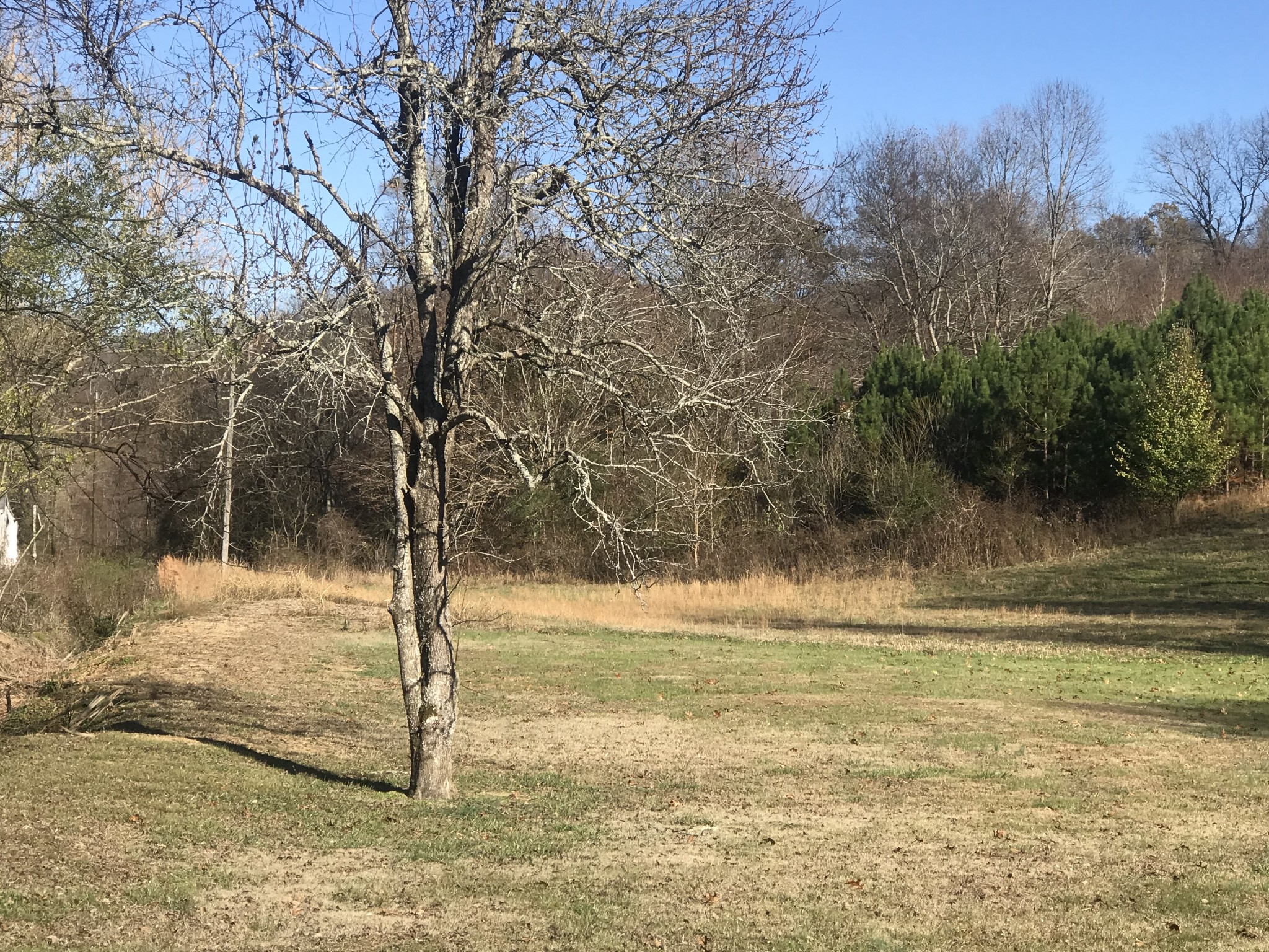165 Ben Johnson Road Pulaski, TN 38478 - Photo 4 of 33 a view of a lake view