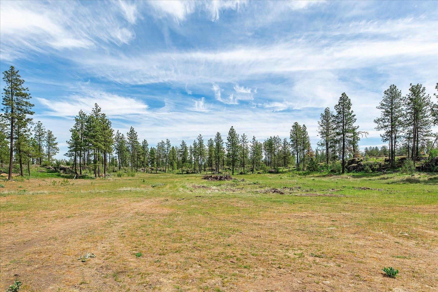 23755 South Ritchey Road Cheney, WA 99004 - Photo 10 of 34