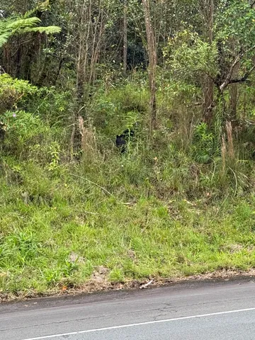 $895,000 | 34 B Puainako St Extension, Hilo, HI 96720