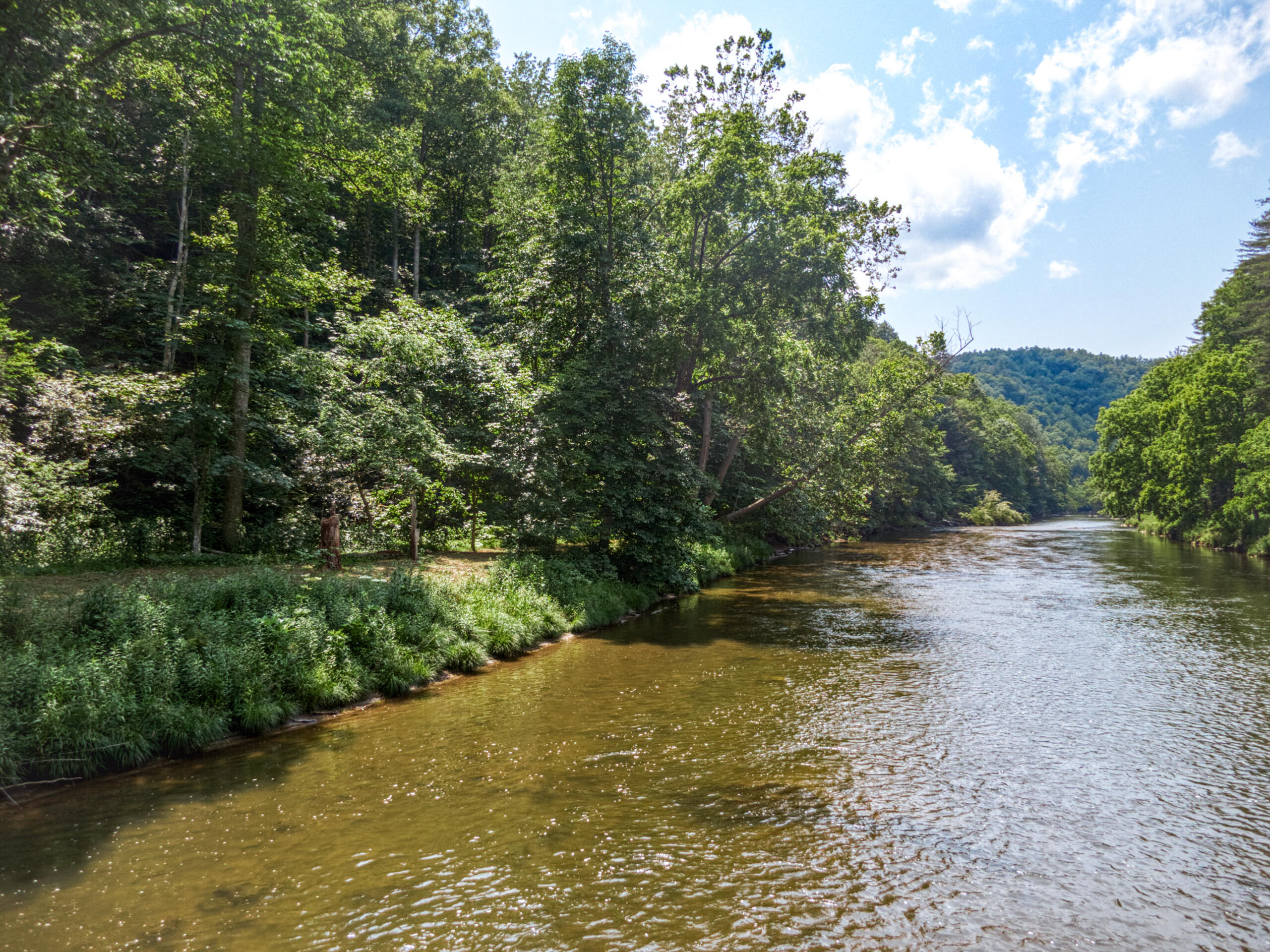 3177 Windsong Road Hiwassee, VA 24347 - Photo 4 of 72 3177-Windsong-Rd-Allisonia_26-26