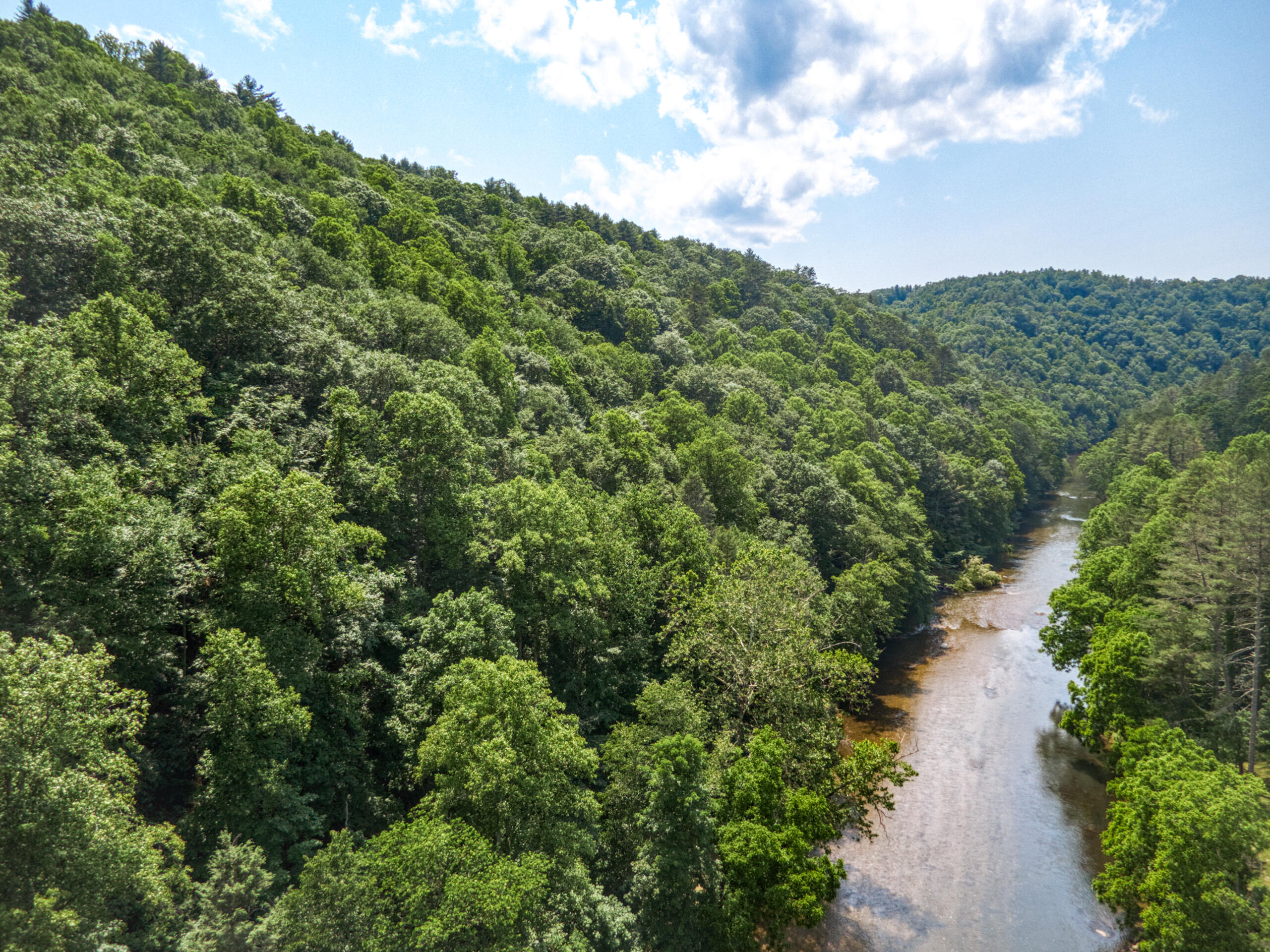 3177 Windsong Road Hiwassee, VA 24347 - Photo 59 of 72 3177-Windsong-Rd-Allisonia_29-29