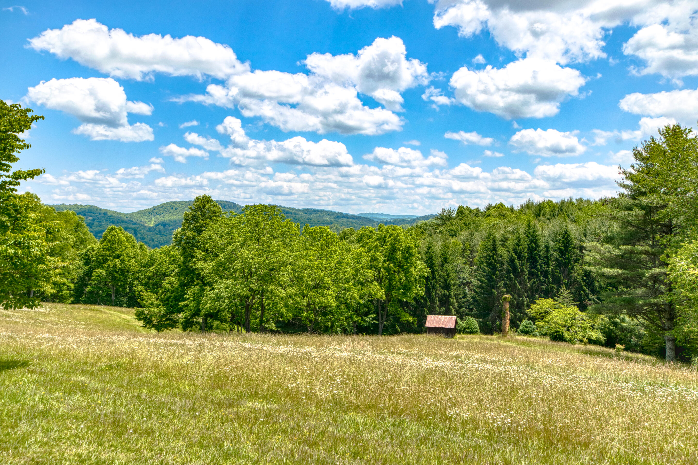 3177 Windsong Road Hiwassee, VA 24347 - Photo 65 of 72 3177-Windsong-Rd-Allisonia_43-43
