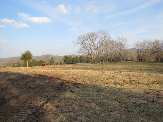 5240 South Commerce Road Watertown, TN 37184 - Photo 3 of 4