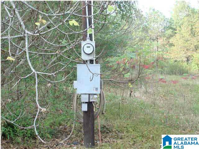 0 Ty Place, Unit 3 LOTS Ohatchee, AL 36271 - Photo 4 of 12