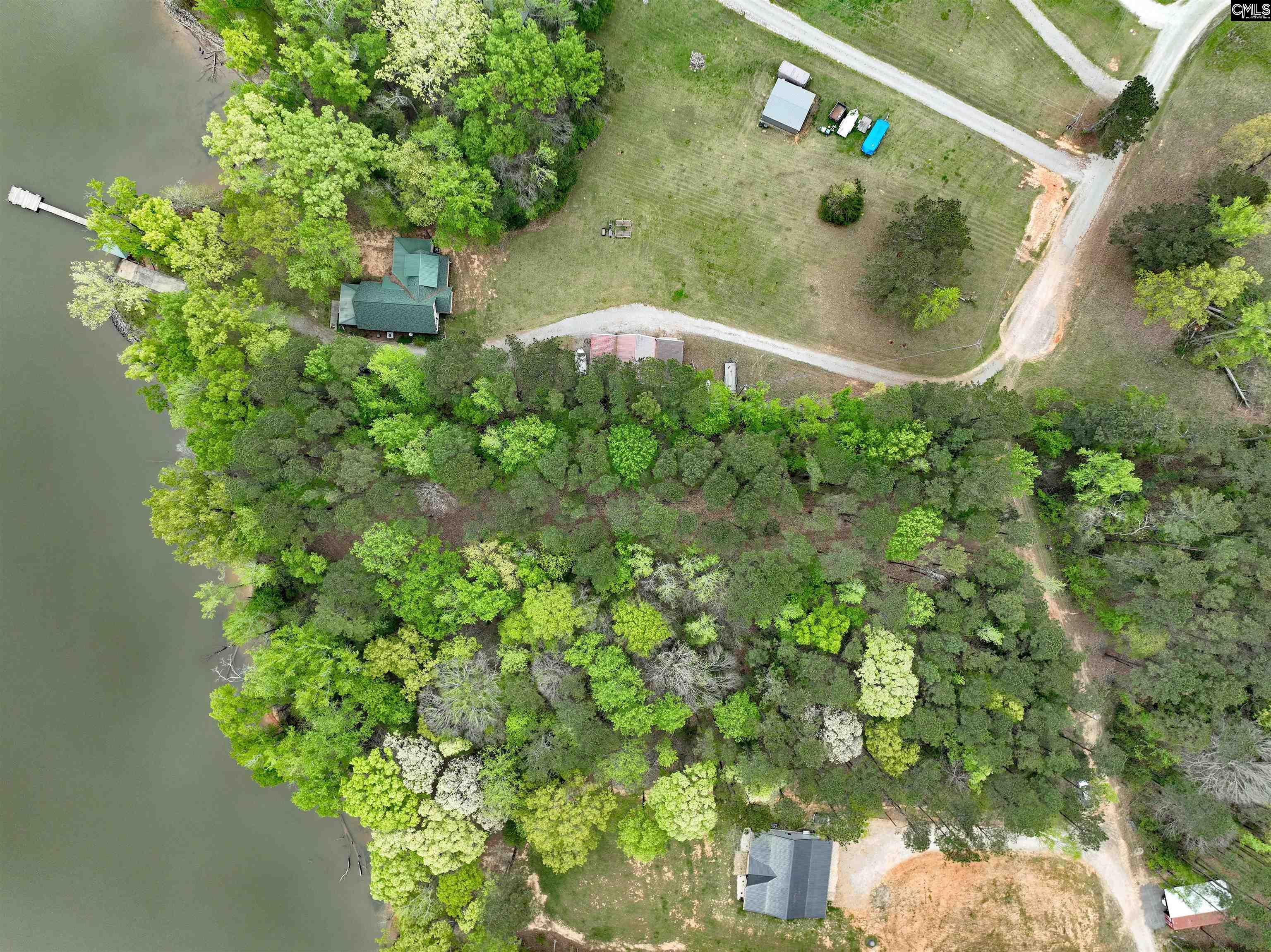 Tbd Fannie Black Road Prosperity, SC 29127 - Photo 6 of 28