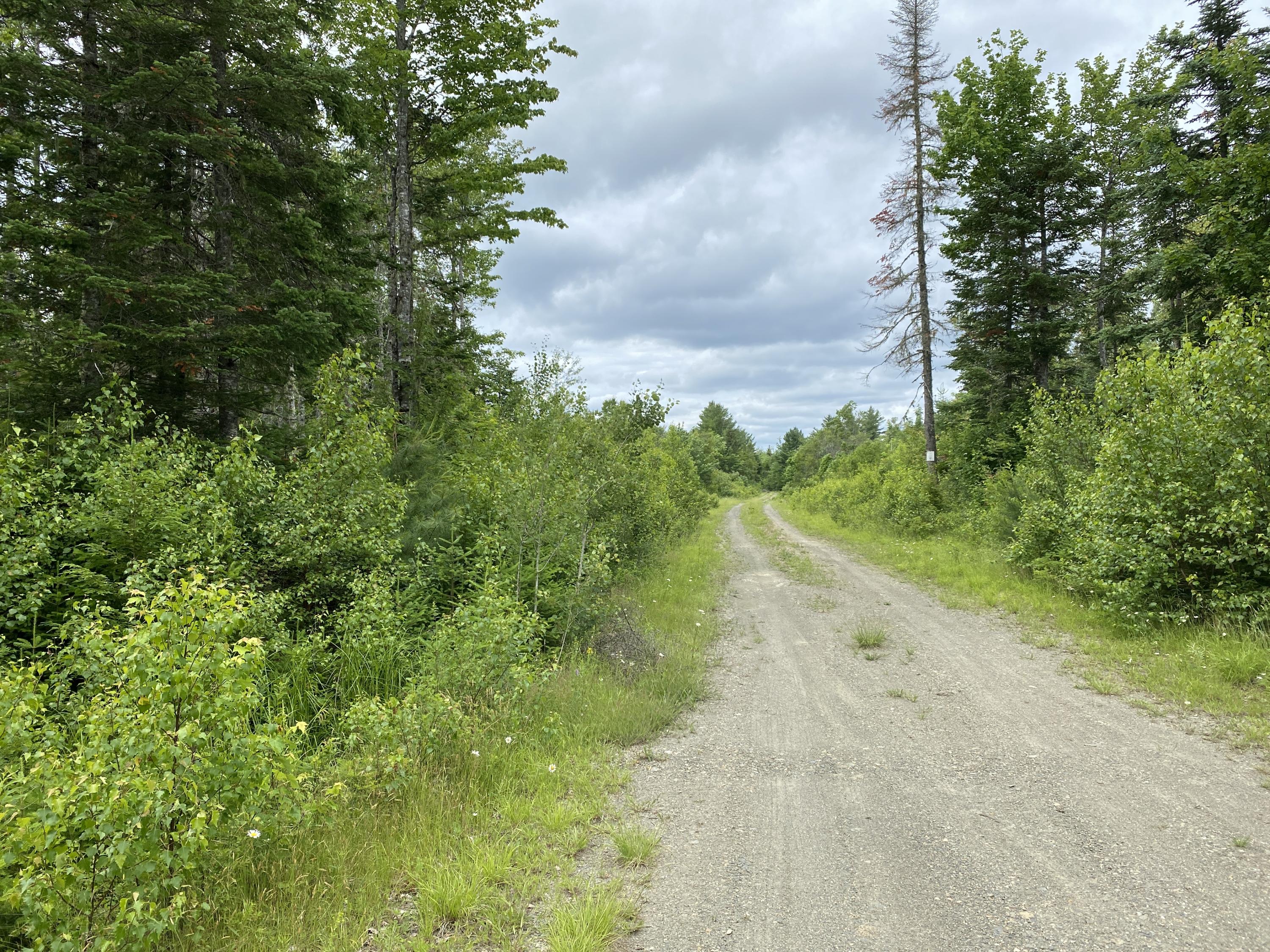 Lot 10 Averill Road Springfield, ME 04487 - Photo 3 of 18 IMG_0618