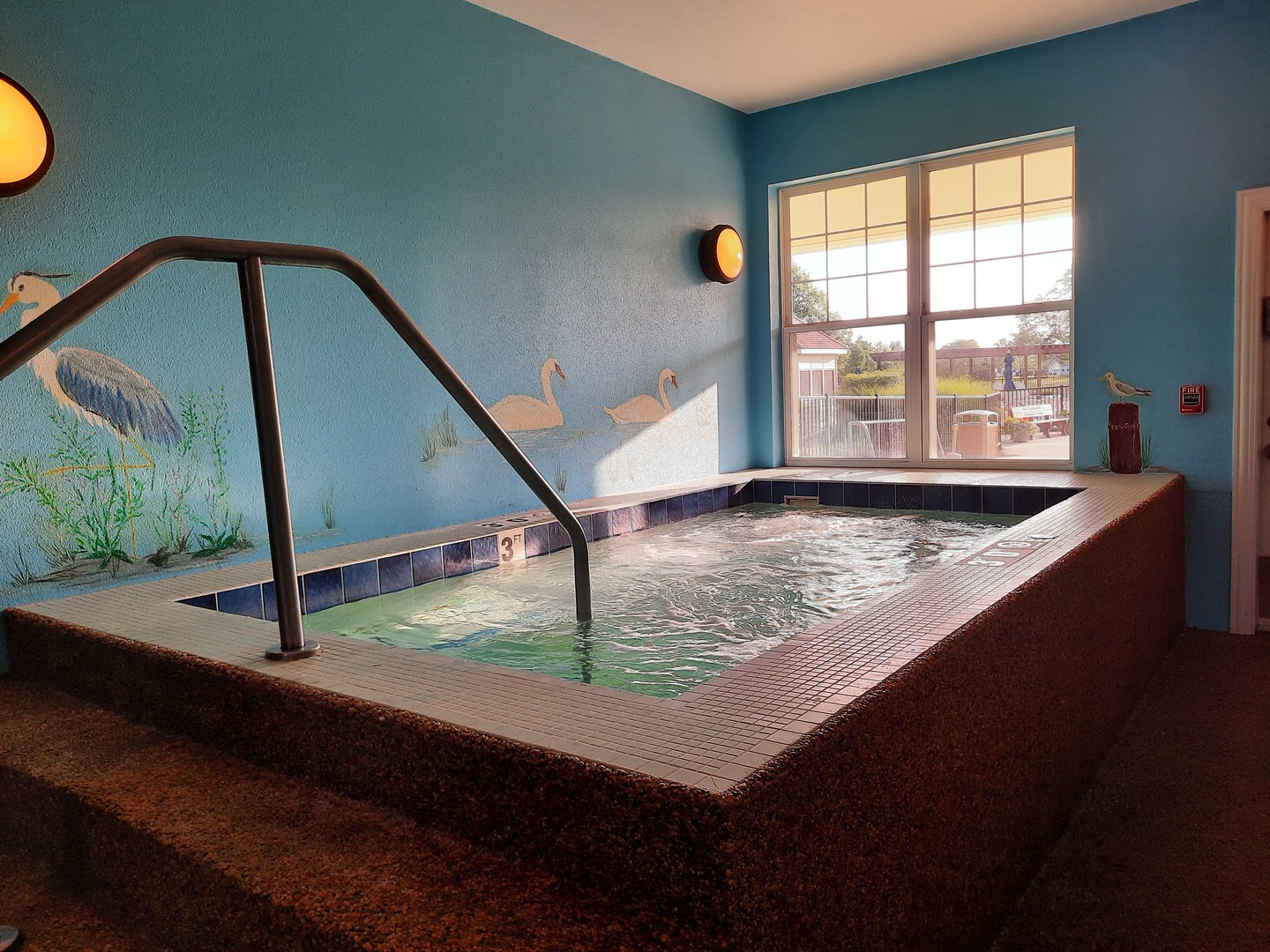 16613 Buckner Pond Way Crest Hill, IL 60403 - Photo 17 of 20 a view of a swimming pool and window