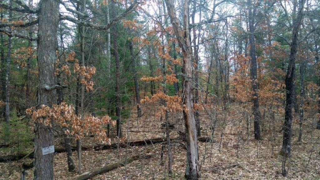 IMG_20160419_113547537