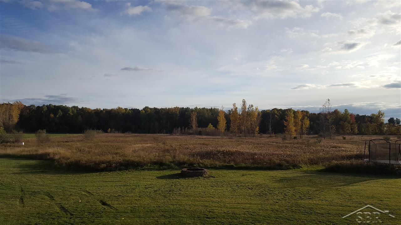 10317 Buck Road Freeland, MI 48623 - Photo 4 of 13