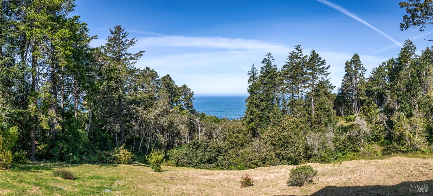 35148 Crows Nest Drive The Sea Ranch, CA 95497 - Photo 23 of 94 a view of a yard with a tree
