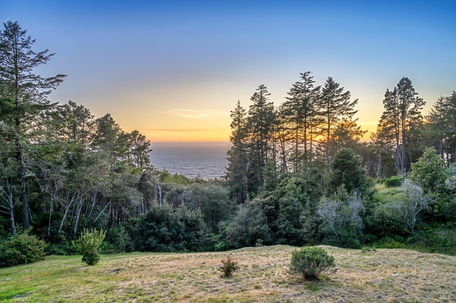 35148 Crows Nest Drive The Sea Ranch, CA 95497 - Photo 36 of 94 a view of a yard with a tree
