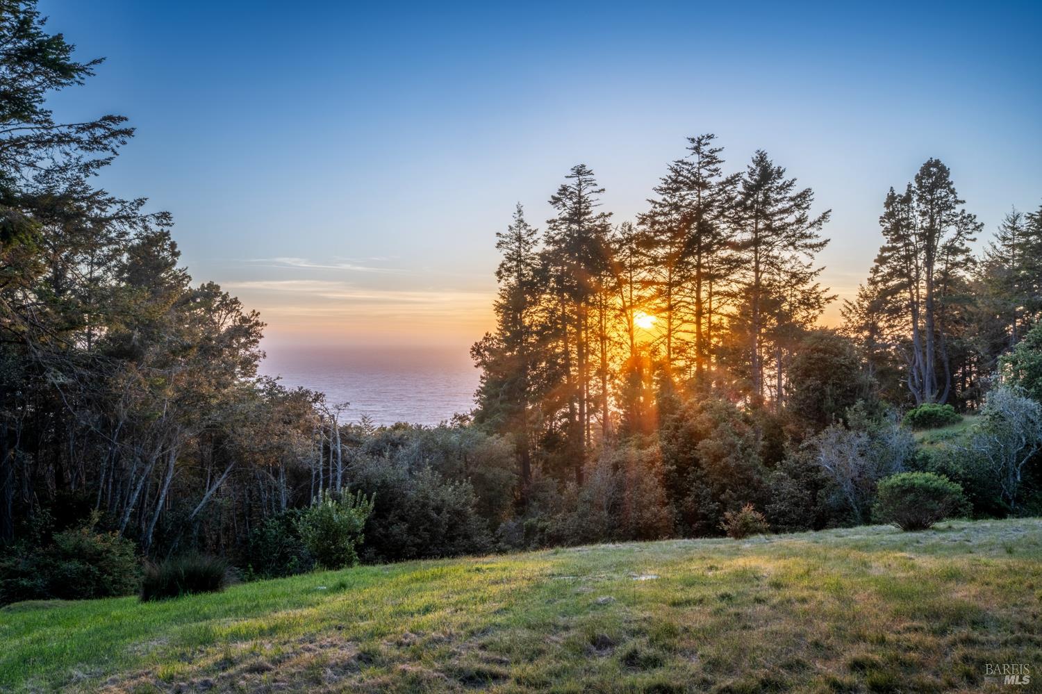 35148 Crows Nest Drive The Sea Ranch, CA 95497 - Photo 73 of 94 a view of a field with trees in the background