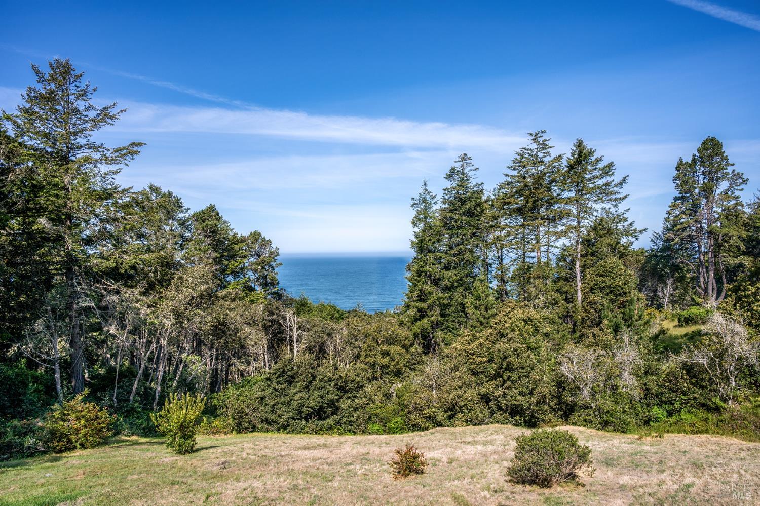 35148 Crows Nest Drive The Sea Ranch, CA 95497 - Photo 10 of 94 a view of a yard with a tree