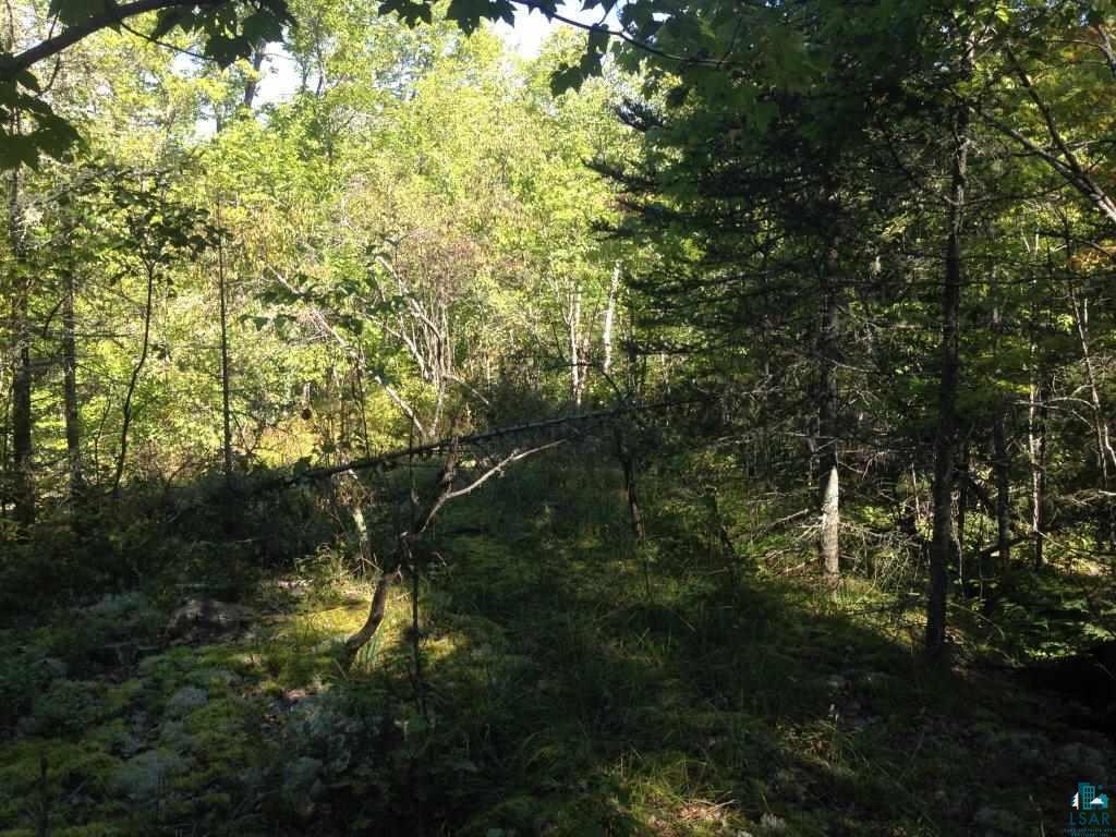 Xxx Xxx Outback Road Ely, MN 55731 - Photo 8 of 10