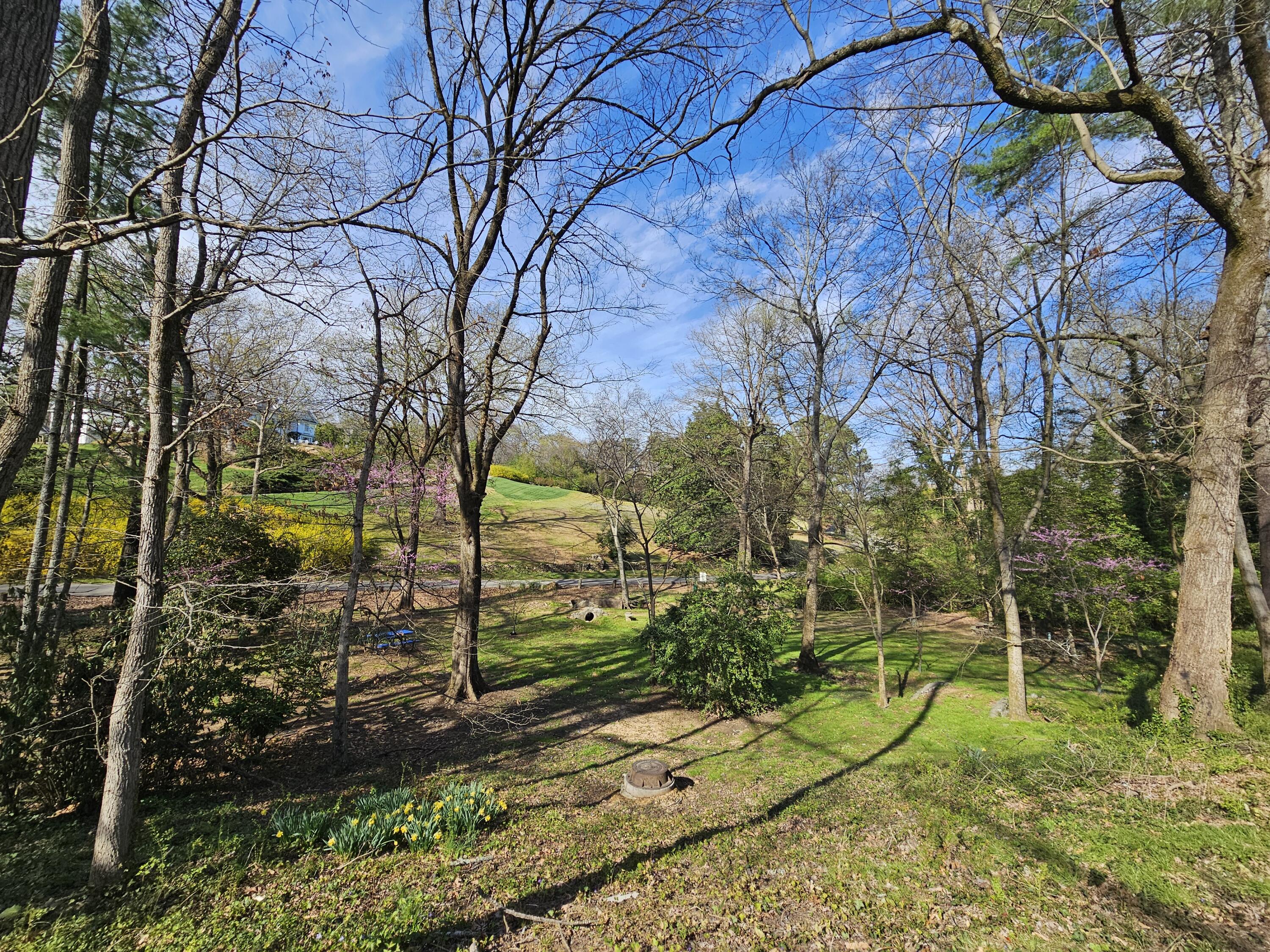 1608 Riverview Road Chattanooga, TN 37405 - Photo 30 of 31 Bird Sanctuary from Riverview Rd