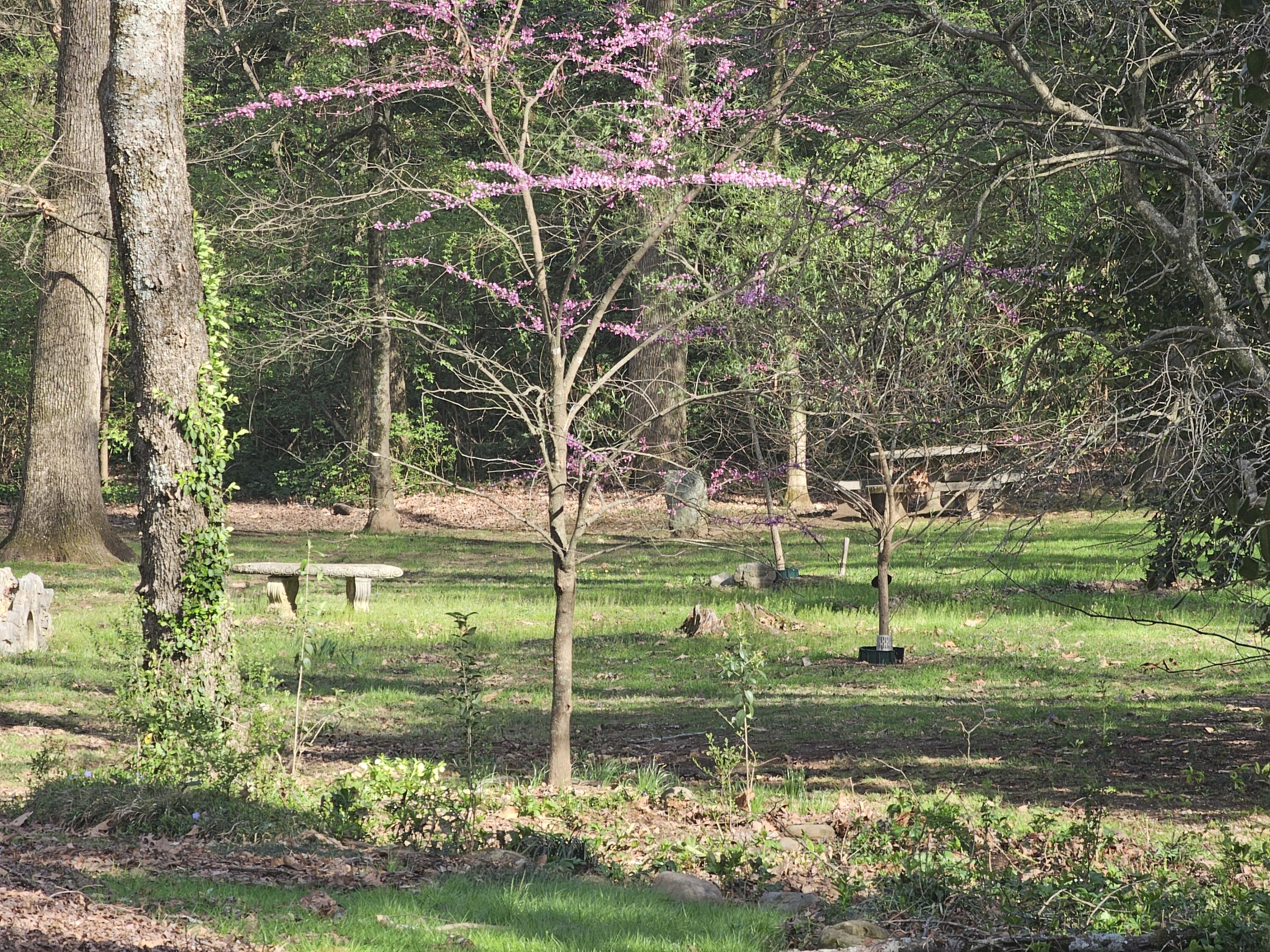 1608 Riverview Road Chattanooga, TN 37405 - Photo 31 of 31 Bird Sanctuary Benches