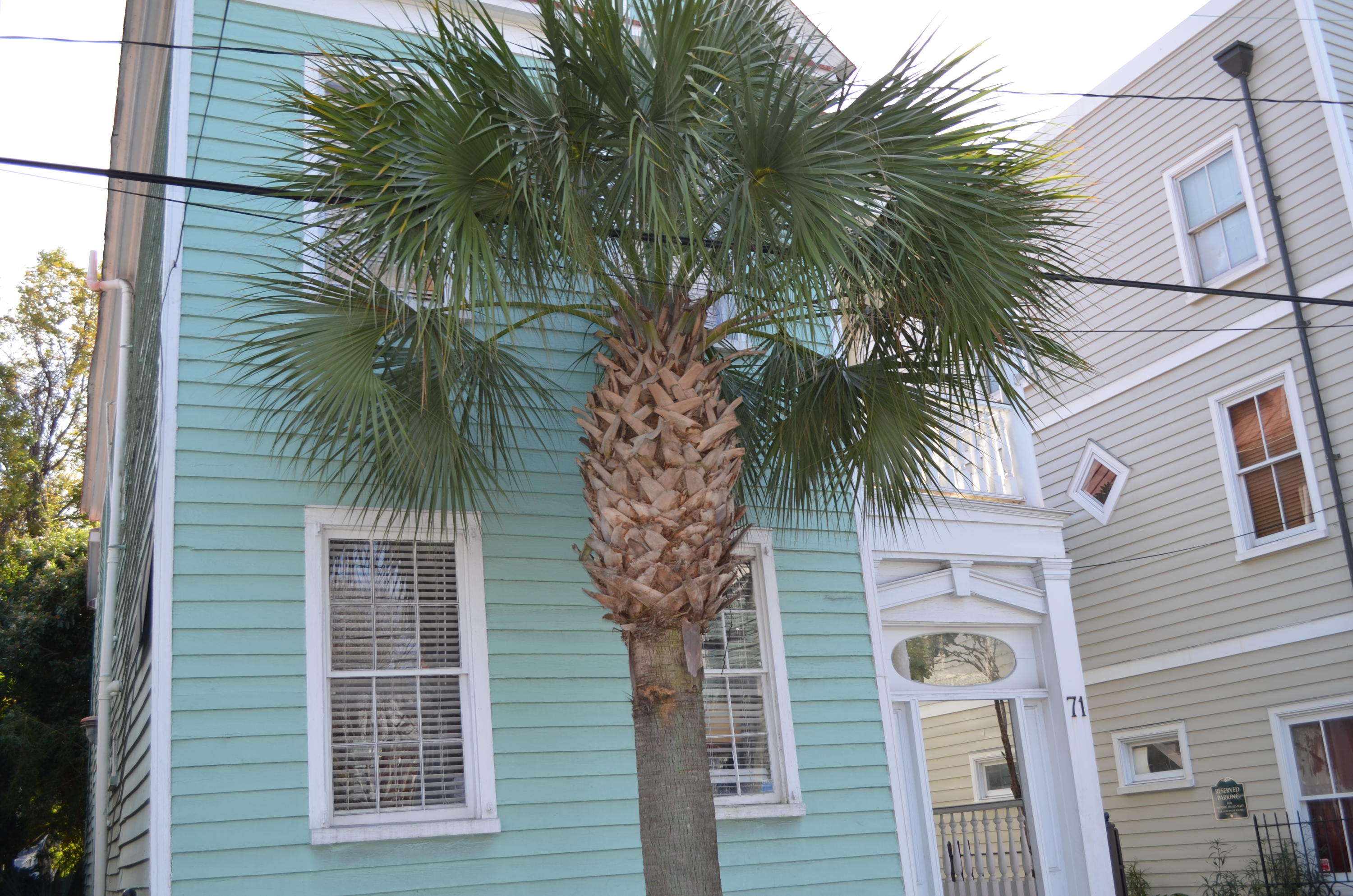 71 Spring Street, Unit A Charleston, SC 29403 - Photo 22 of 26 DSC_0029