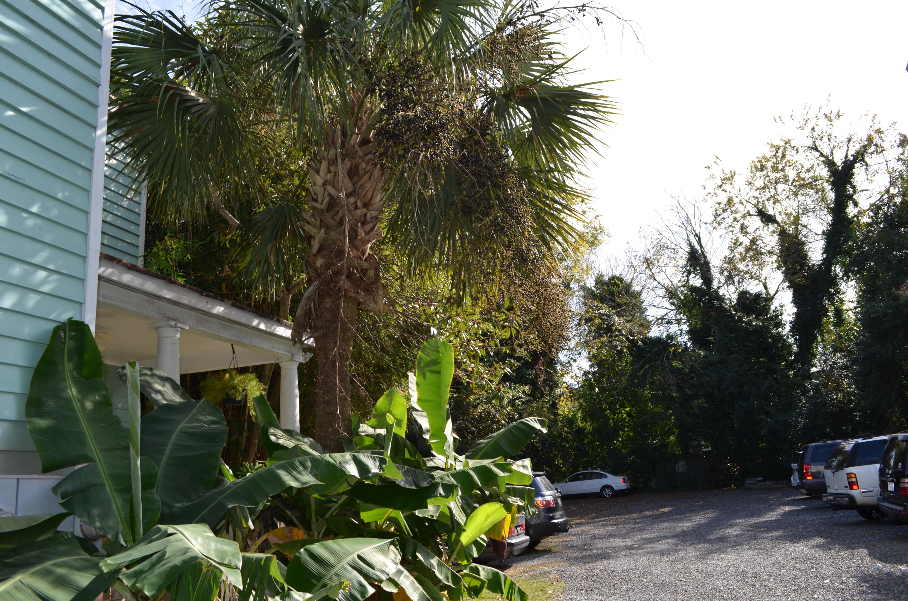71 Spring Street, Unit A Charleston, SC 29403 - Photo 24 of 26 DSC_0032
