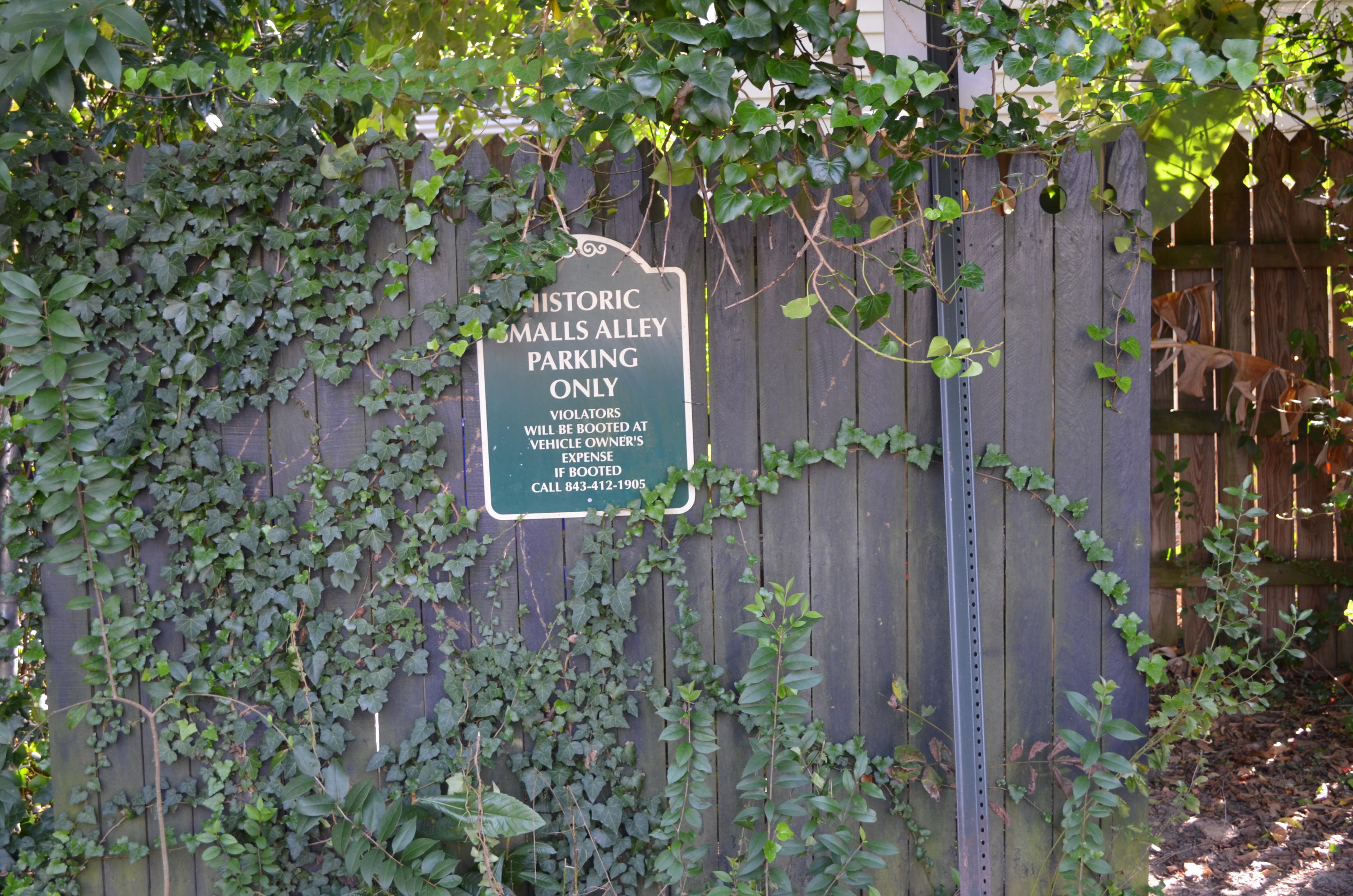 71 Spring Street, Unit A Charleston, SC 29403 - Photo 26 of 26 DSC_0034