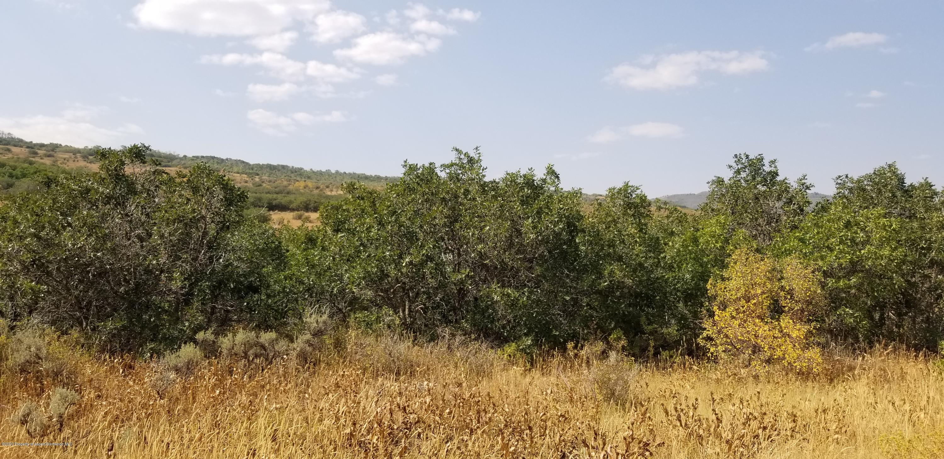225 Falcon Drive Craig, CO 81625 - Photo 11 of 12 a view of a bunch of trees in a field