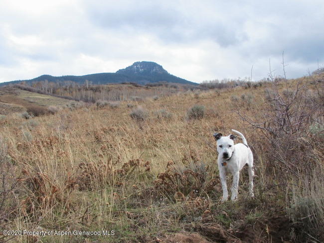 225 Falcon Drive Craig, CO 81625 - Photo 7 of 12 a view of a dry yard