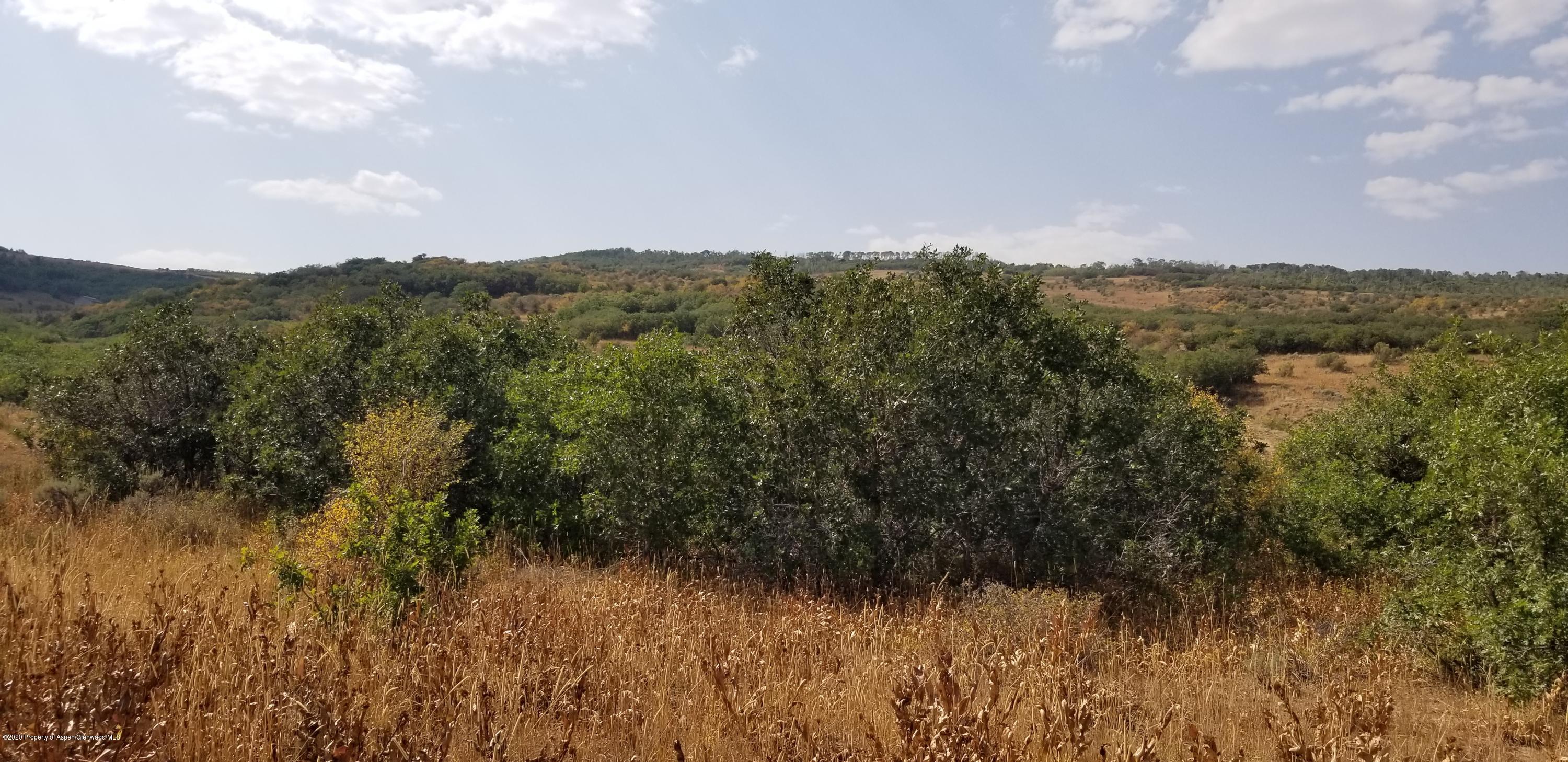 225 Falcon Drive Craig, CO 81625 - Photo 8 of 12 a view of a yard