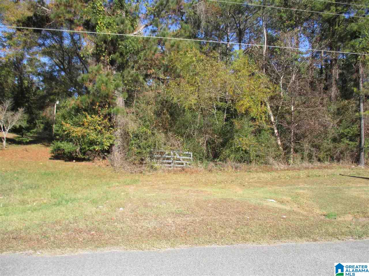0 Poplar Springs Road, Unit 1 Clanton, AL 35045 - Photo 3 of 4