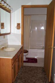 2881 West Bricker Road Fenwick, MI 48834 - Photo 2 of 7 Additional Photo