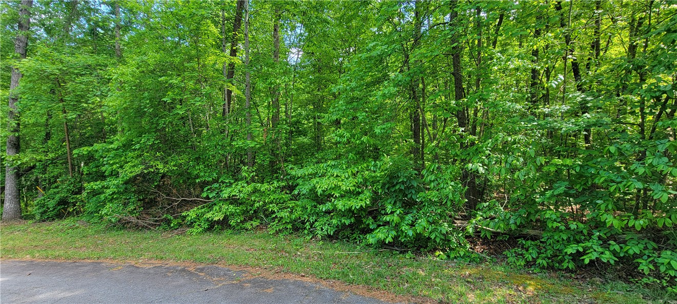 0 Lynden Loop, Unit 26 Westminster, SC 29693 - Photo 2 of 16