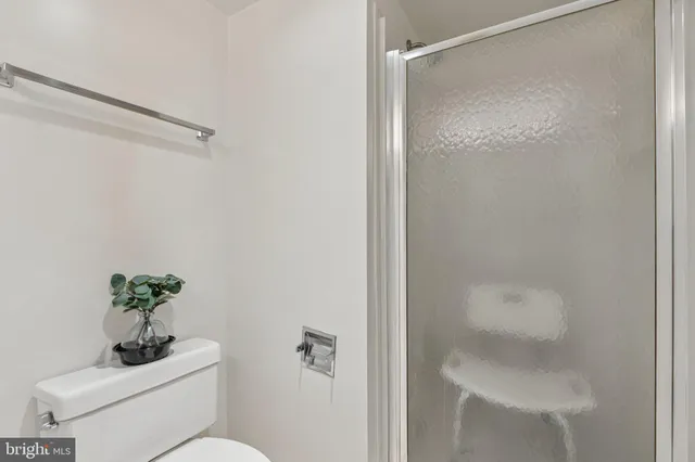 a bathroom with a shower and a toilet