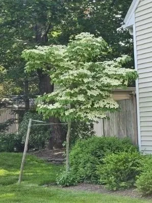 $545,000 | 26 Fagan Street, Unit 26, Uxbridge, MA 01569