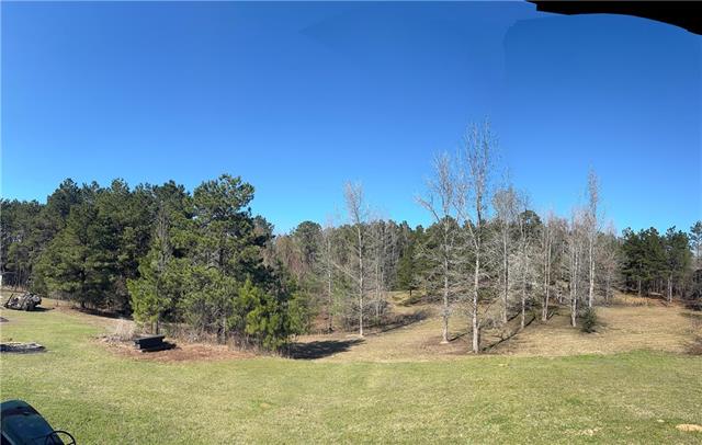 195 Salt Pitt Road Goldonna, LA 71031 - Photo 3 of 34