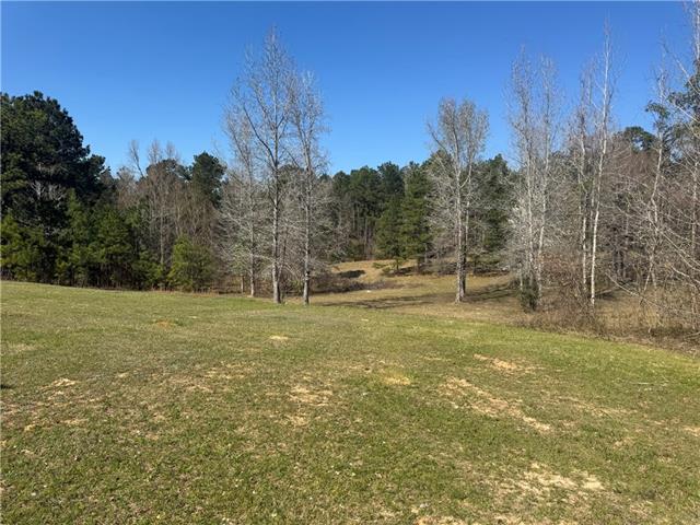 195 Salt Pitt Road Goldonna, LA 71031 - Photo 31 of 34