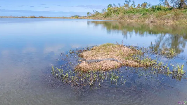 $450,000 | 1011 Napoleonville La, Napoleonville, LA 70390