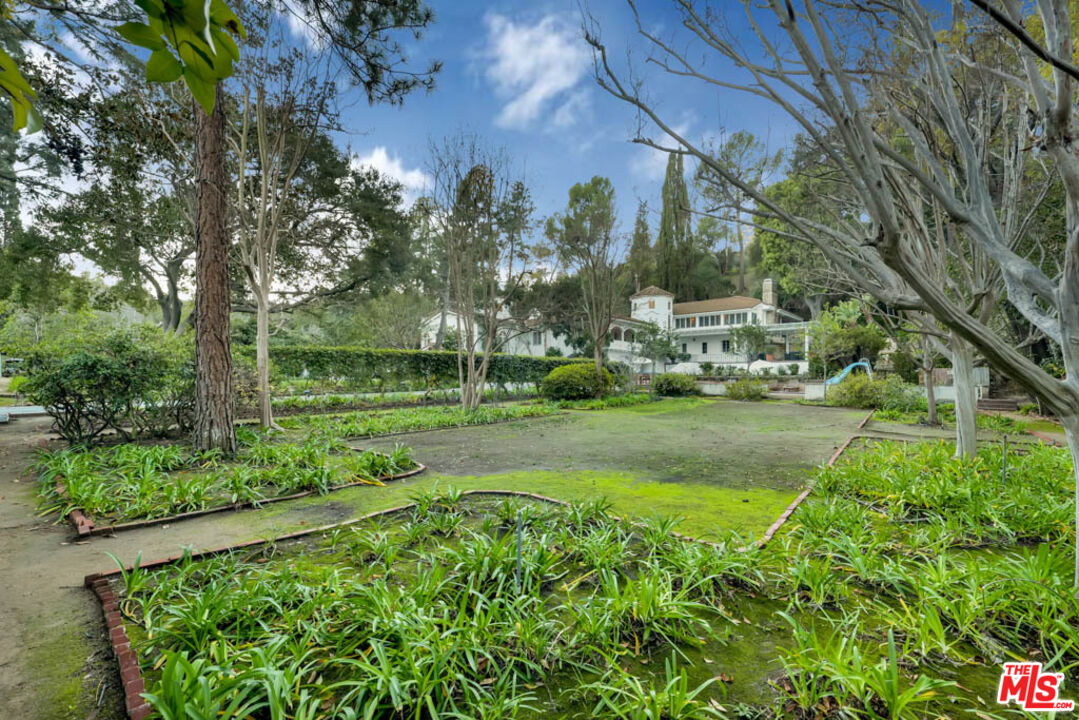 3405 Fryman Road Studio City, CA 91604 - Photo 23 of 28 a view of a park with large trees
