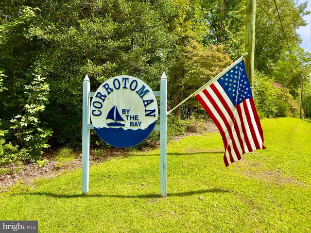 a view of a house with a big yard and a large tree