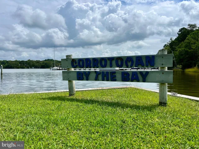 a view of a big yard with palm trees