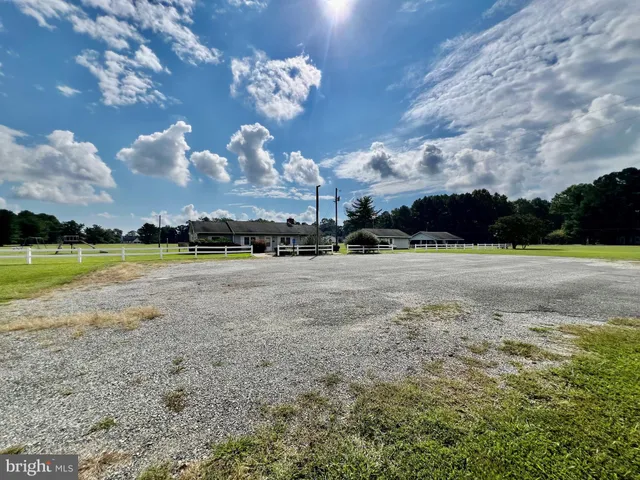 a view of a yard with trampoline