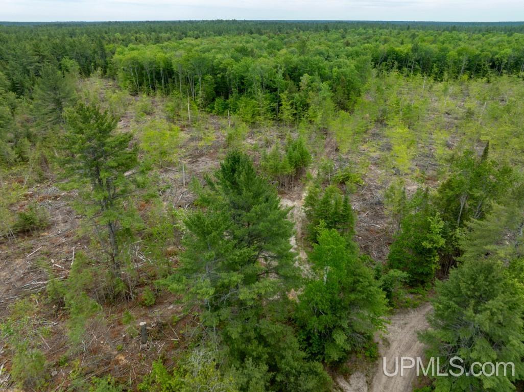 Tbd Off Co Rd 450 Road Seney, MI 49883 - Photo 11 of 13