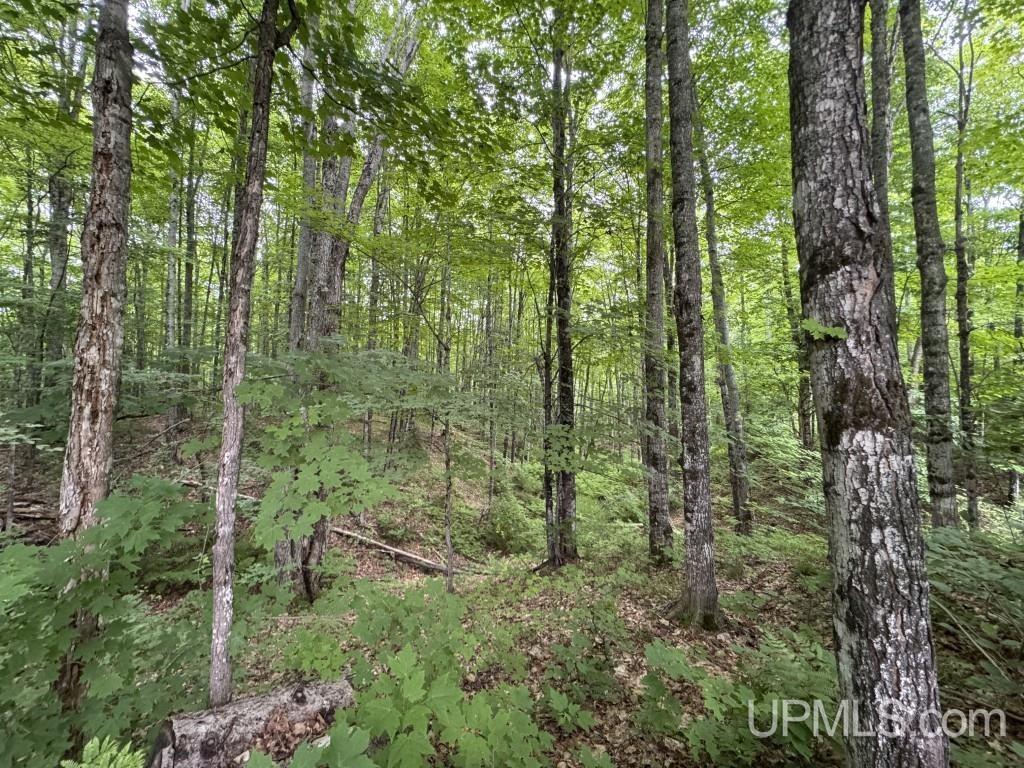 23180 South Laird Road Pelkie, MI 49958 - Photo 86 of 88